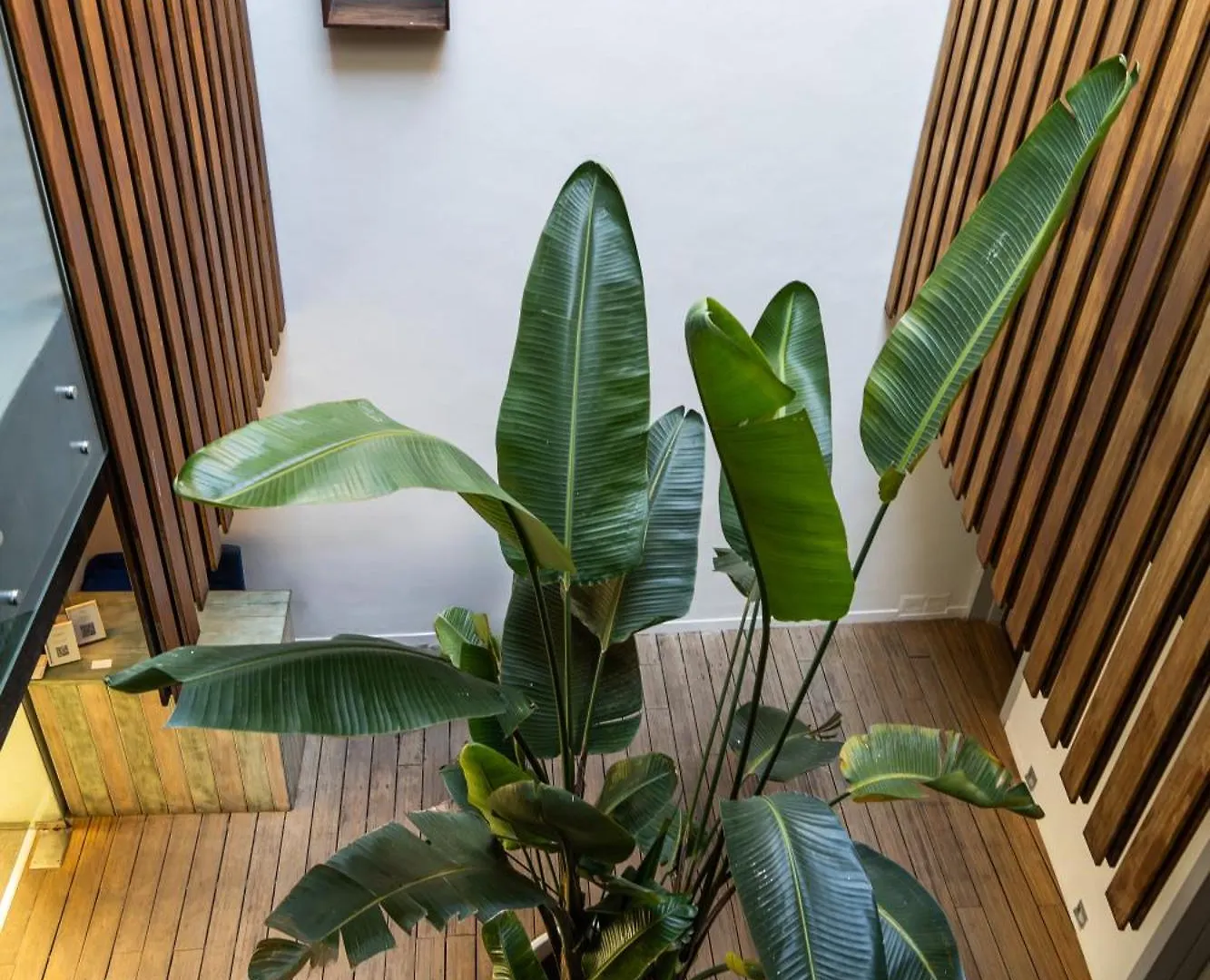 Hotel Aristoy Tarifa