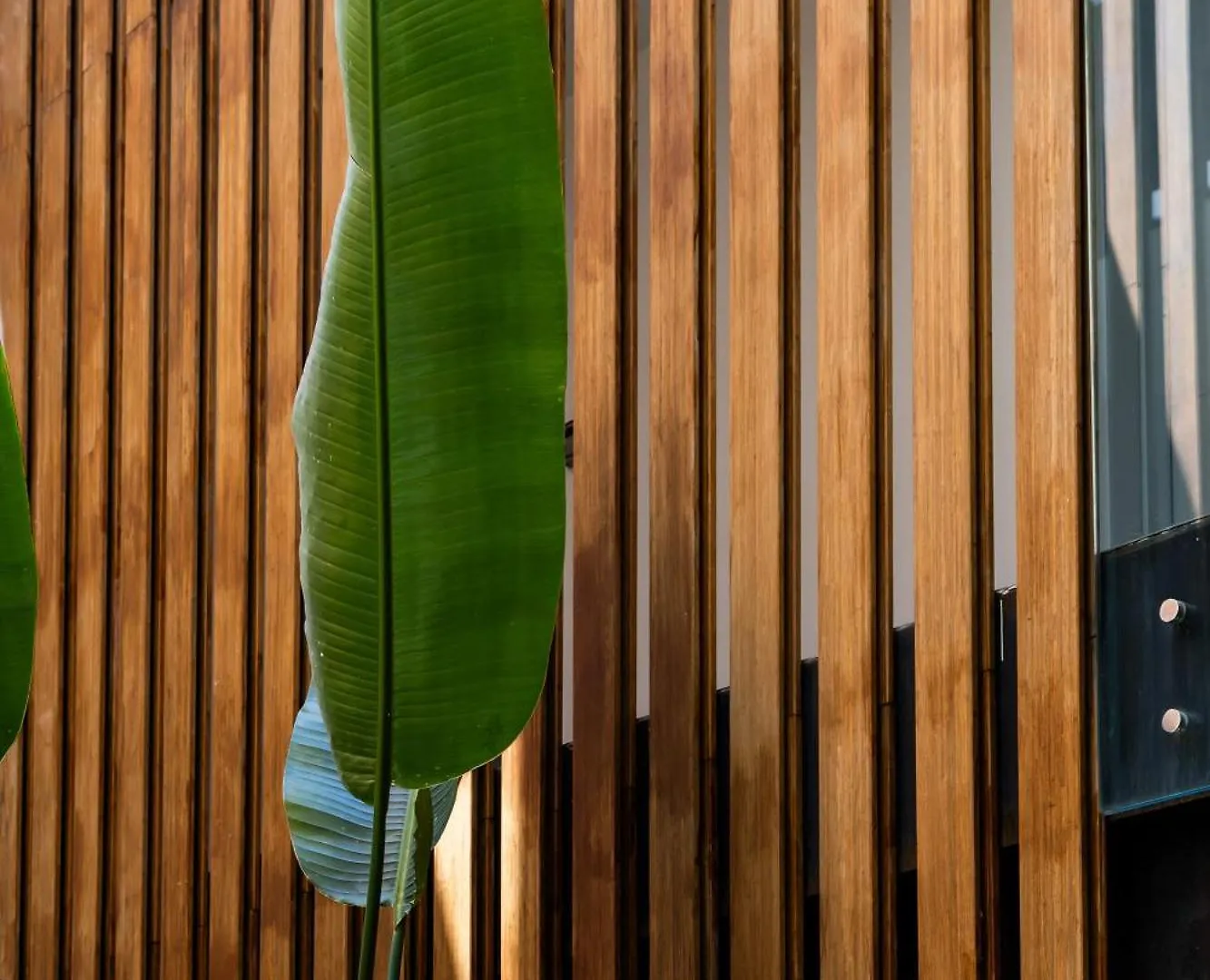 **  Hotel Aristoy Tarifa Spanien