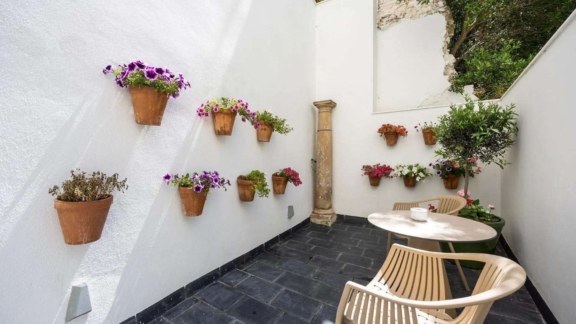 Hotel Aristoy Tarifa