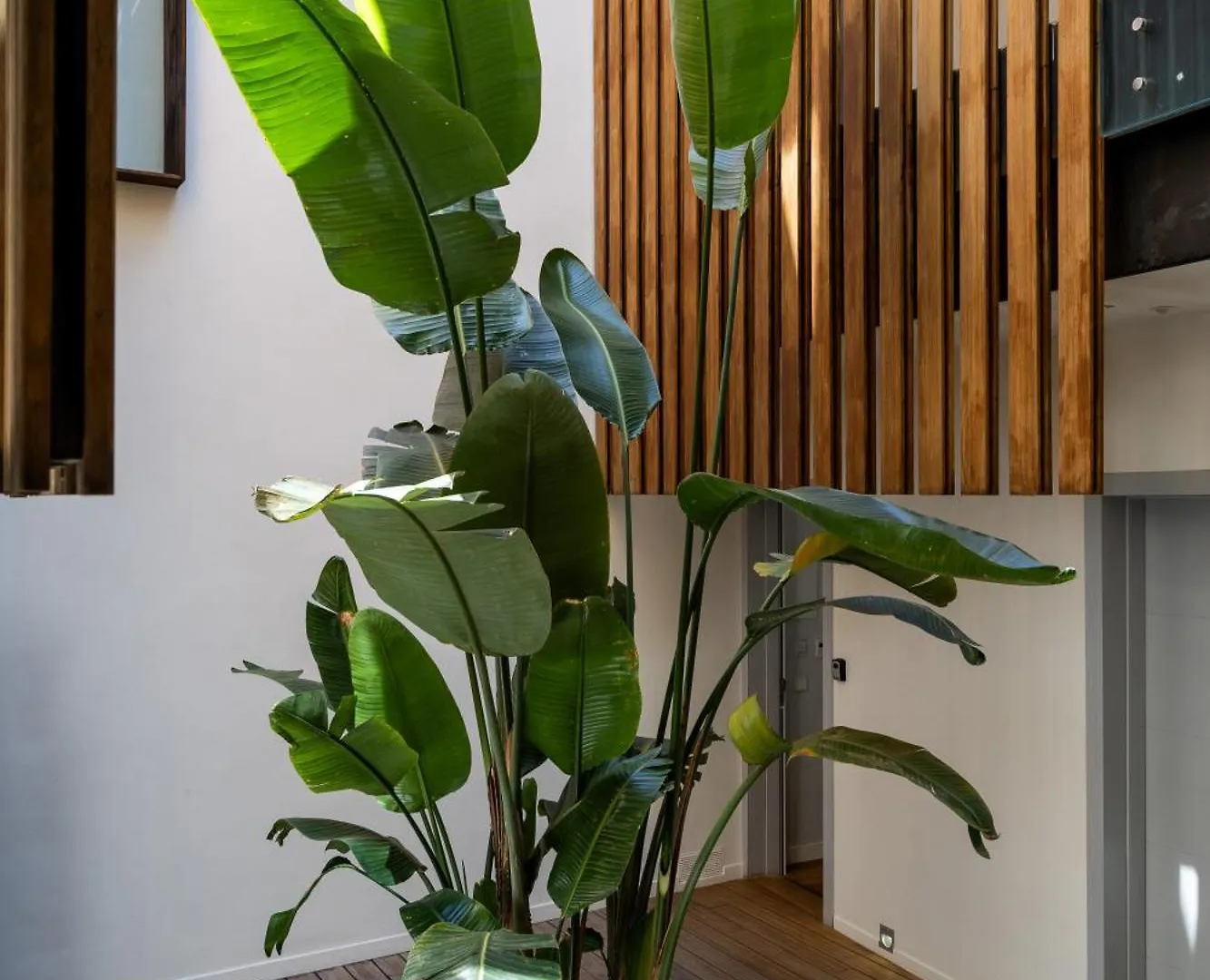Aristoy Hotel Tarifa Spain